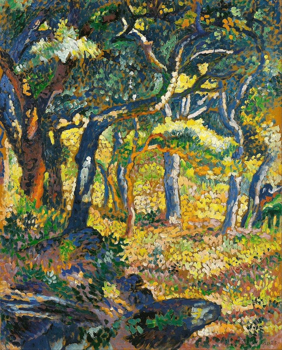 Una radura in Provenza